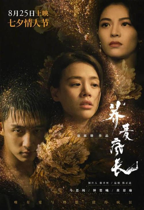 仿制摩尔多瓦护照电子版